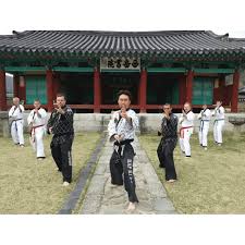 Image result for Swindon Hapkido Club