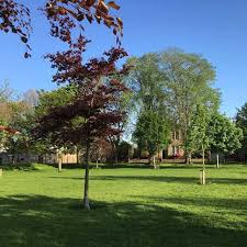 Image result for Wardie Bowling Club