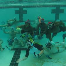 Image result for Caversham Underwater Hockey Club