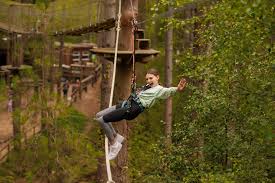 Image result for Go Ape! Moors Valley