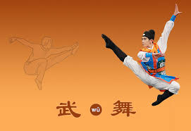 Image result for kung fu