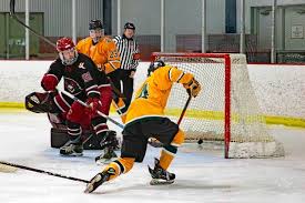 Image result for St Ives Hockey Club