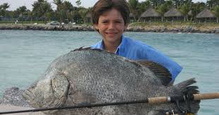 Image result for Lobotes surinamensis