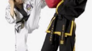 Image result for southern academy choi kwang do