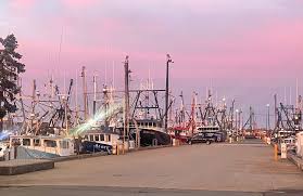 Image result for Bedford