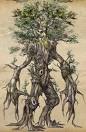 ENT 2 by Cargoshorts66 On CureZone Image Gallery