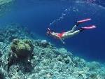 Sport Scuba Diving Underwater Sport Backgrounds Wallpapers | WallPixy