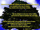 Sunshine On My Shoulders: The Blessing of the PSALMS 