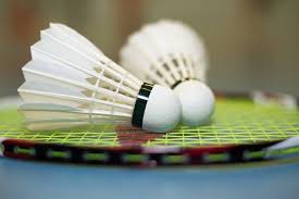 Image result for Dane End Junior Badminton Club