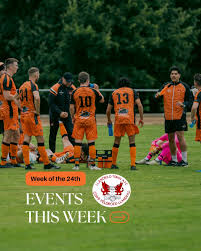 Image result for Llandeilo Rugby Football Club