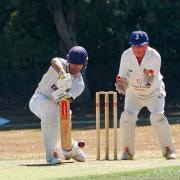 Image result for Clacton Cricket Club