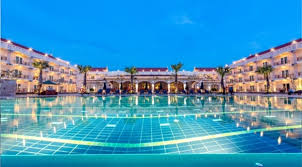 「ソニア・パレス」の画像検索結果