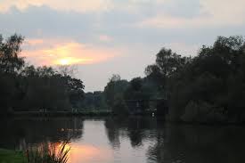 Image result for Billingbear Park Golf Club