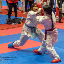 Image result for Bushido Academy Of Martial Arts (Bama)