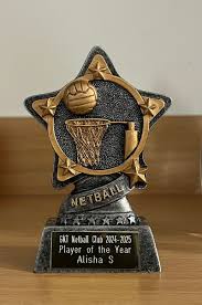 Image result for Gkt Netball