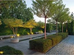 Image result for Ulf Nordfjell