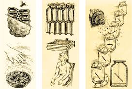 Image result for Viktor Grebennikov