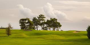 Image result for Stinchcombe Hill Golf Club