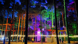 Image result for The Go Ape Experience (Delamere Forest)