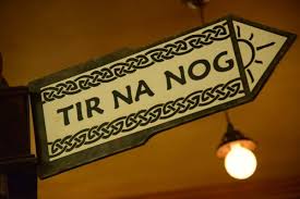 Image result for Moy Tir Na Nog Gfc