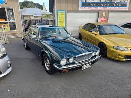 Image result for Racing Green 1981 Jaguar