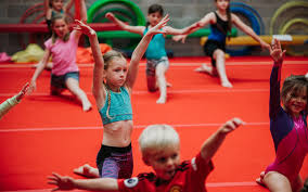 Image result for Stockport School Of Gymnastics