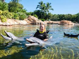 Image result for Discover Swimming