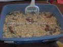 Coolest Homemade Kitty Litter Cake Photos