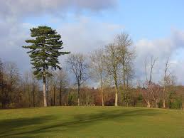Image result for Badgemore Park Golf Club, Henley On Thames