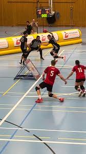 Image result for Pompey Tchoukball Club