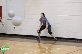 Image result for Edmonton Sports Club