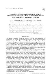 Attēlu rezultāti vaicājumam “Fellhanera subtilis”