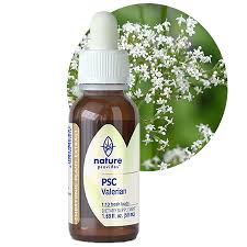 Attēlu rezultāti vaicājumam “Valeriana officinalis bud”