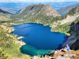 Attēlu rezultāti vaicājumam “Libanotis montana”