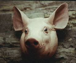 images?q=tbn:ANd9GcSgVa03_kThy95y2PAAI1ZXUDzNYX6J_DKSGOJ8ws8nxWpGea8&t=1&usg=__0gPvHsNoCAr6zox4rhmXjrQcFvs=