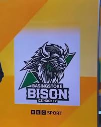 Image result for Basingstoke Bison Ice Hockey Club