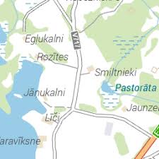 Attēlu rezultāti vaicājumam “Capsodes gothicus imago”