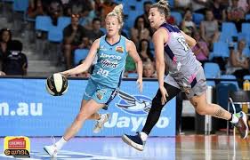 Image result for Southside Netball Club