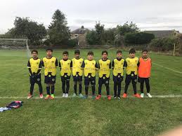 Image result for Phoenix Old Boys Football Club