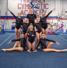 Image result for Mo-Gylity Gymnastics Club