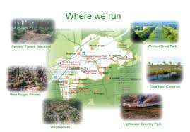 Image result for Windle Valley Runners