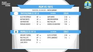 Image result for Ynysygerwn Cricket Club