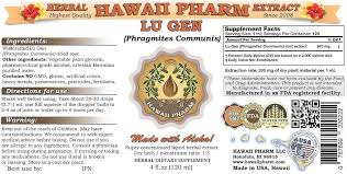 Attēlu rezultāti vaicājumam “Phragmites communis fruit”