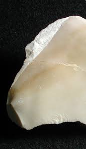 Image result for SEM micrographs of Novaculite Arkansas