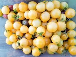 Afbeeldingsresultaat voor hawaiian white cherry tomato
