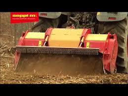 Image result for seppi tehron