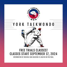 Image result for York University Taekwondo Club