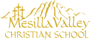 Bildergebnis für MVCS