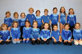 Image result for Farnham Gymnastics Club