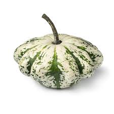 Attēlu rezultāti vaicājumam “Cucurbita pepo fruit”